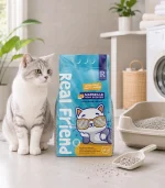 Real Friend Marsilya Sabun Kokulu Süper Premium %100 Doğal Kedi Kumu 10 Lt x 2 - Görsel 3