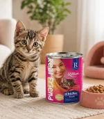Real Friend Yavru Kedi Maması Tavuklu Parça Etli Soslu Konserve 400 Gr - Görsel 2