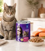 Real Friend Yetişkin Kedi Yaş Maması Somonlu Parça Etli Soslu 400 Gr - Görsel 2